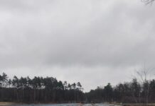 Przejazd przez wiadukt nad ekspresówką S3