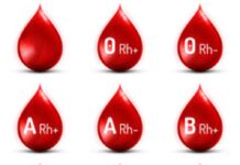 Zbiórka krwi przy pasażu Multibox