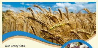 Dożynki w Kotli