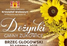 Gminne dożynki w Brzegu Głogowskim