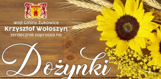 Gminne dożynki w Brzegu Głogowskim
