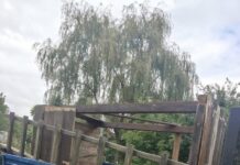 Zatrzymany sprawca kradzieży – policjanci odzyskali część skradzionego mienia