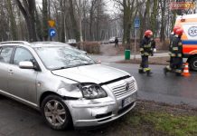 Wymusił na Daszyńskiego/Wita Stwosza