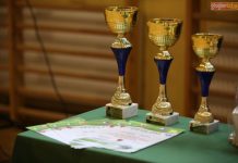 Turniej piłki siatkowej w Przedmościu